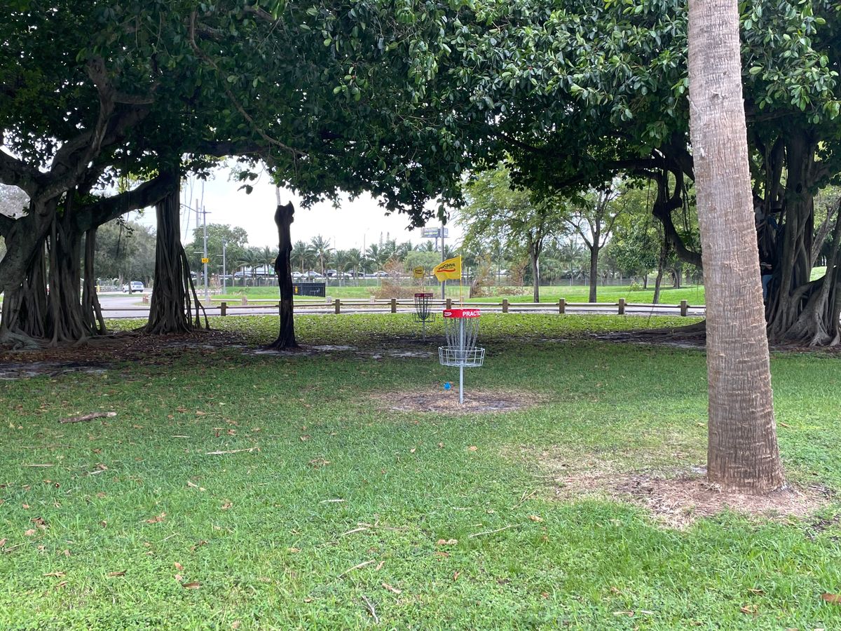 Putting Practice Area