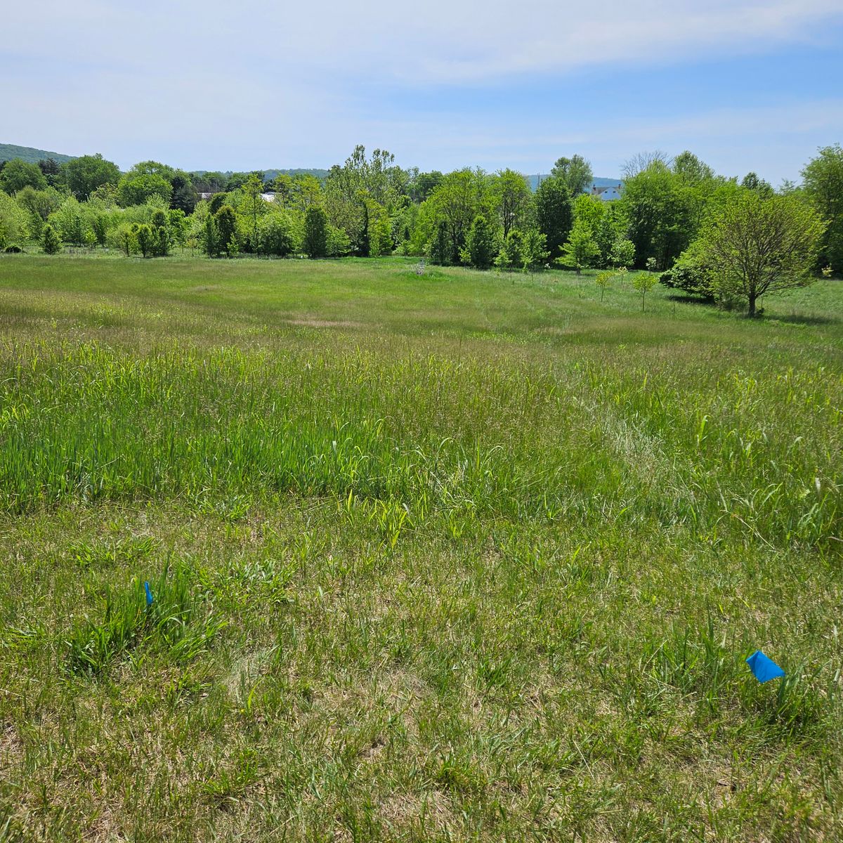Hole 15