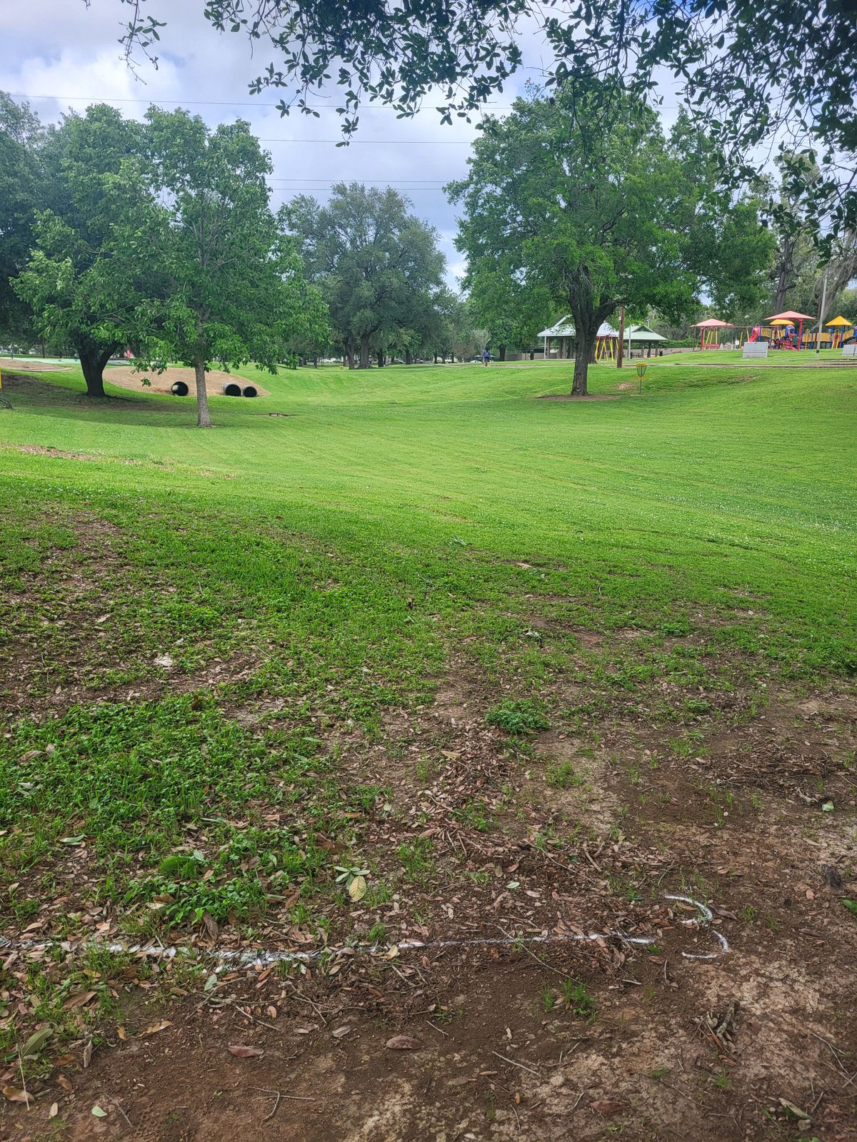 GG-Hole #3 - On or across walking path is OB.