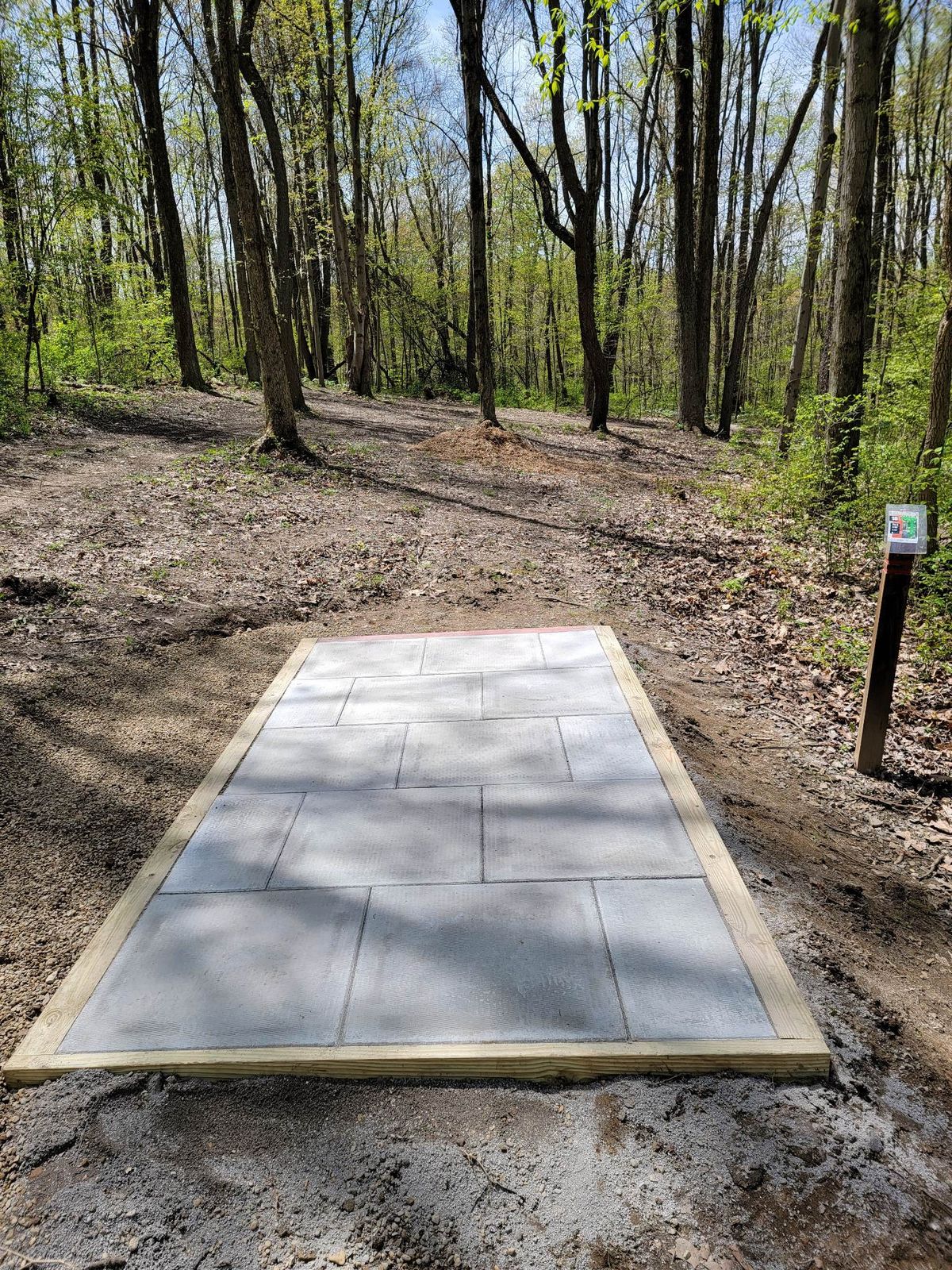 hole 10 red