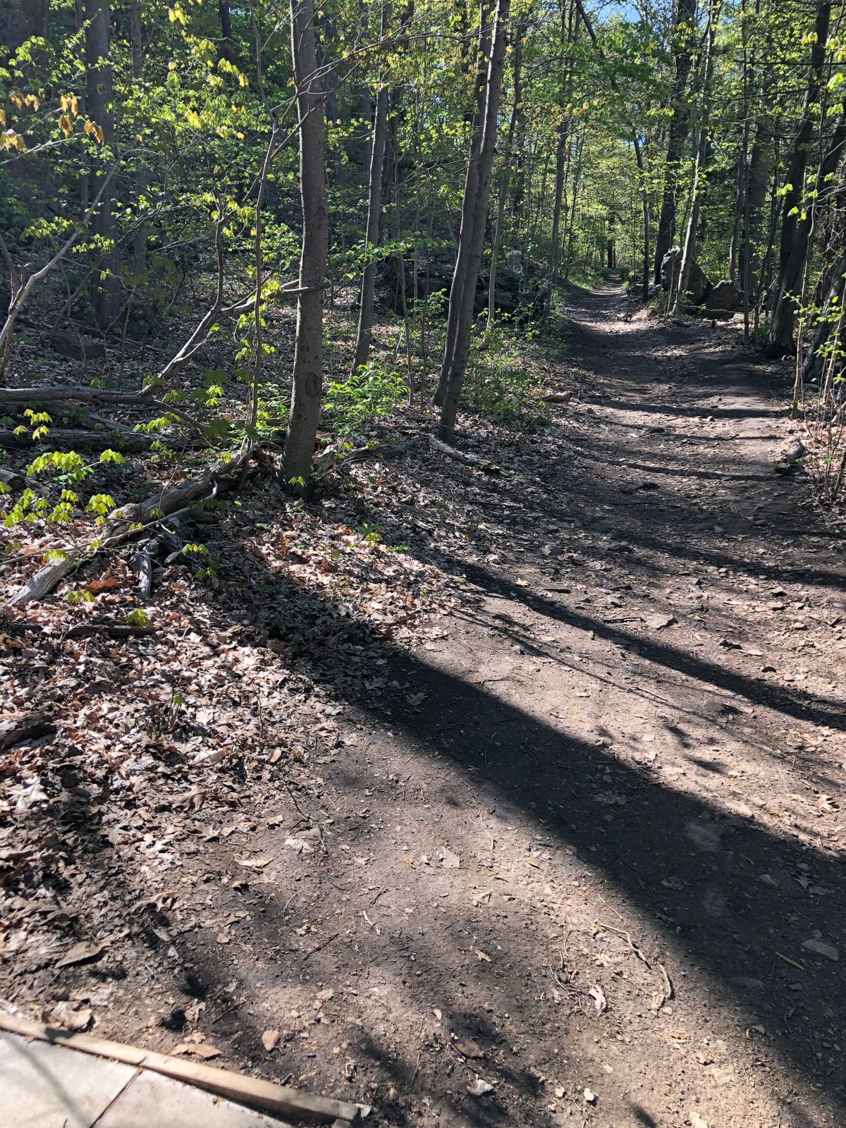Hole 3: Basket to the left