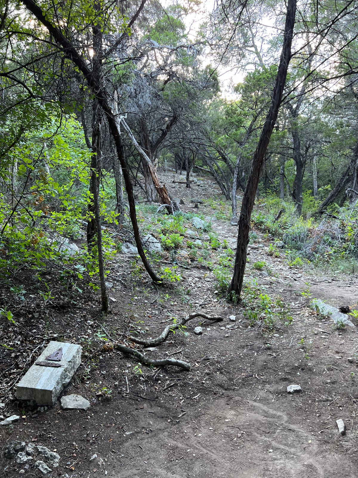 Hole #5 Main Tee