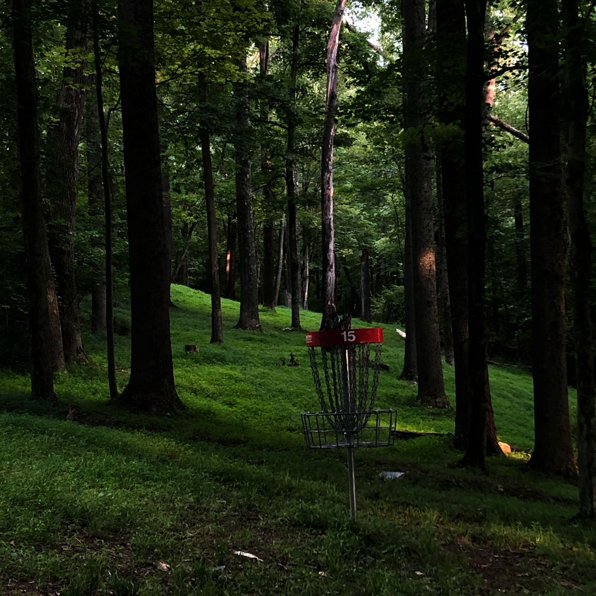 Hole 15 looking back toward the tee box.