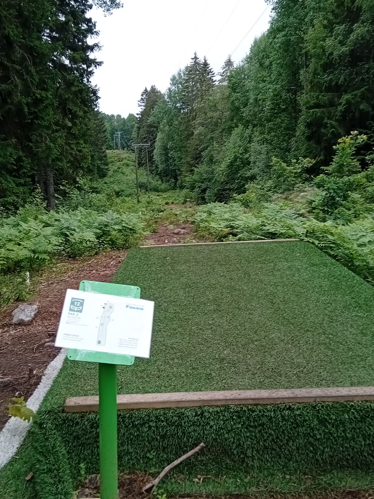 Hole 12 | Hull 12