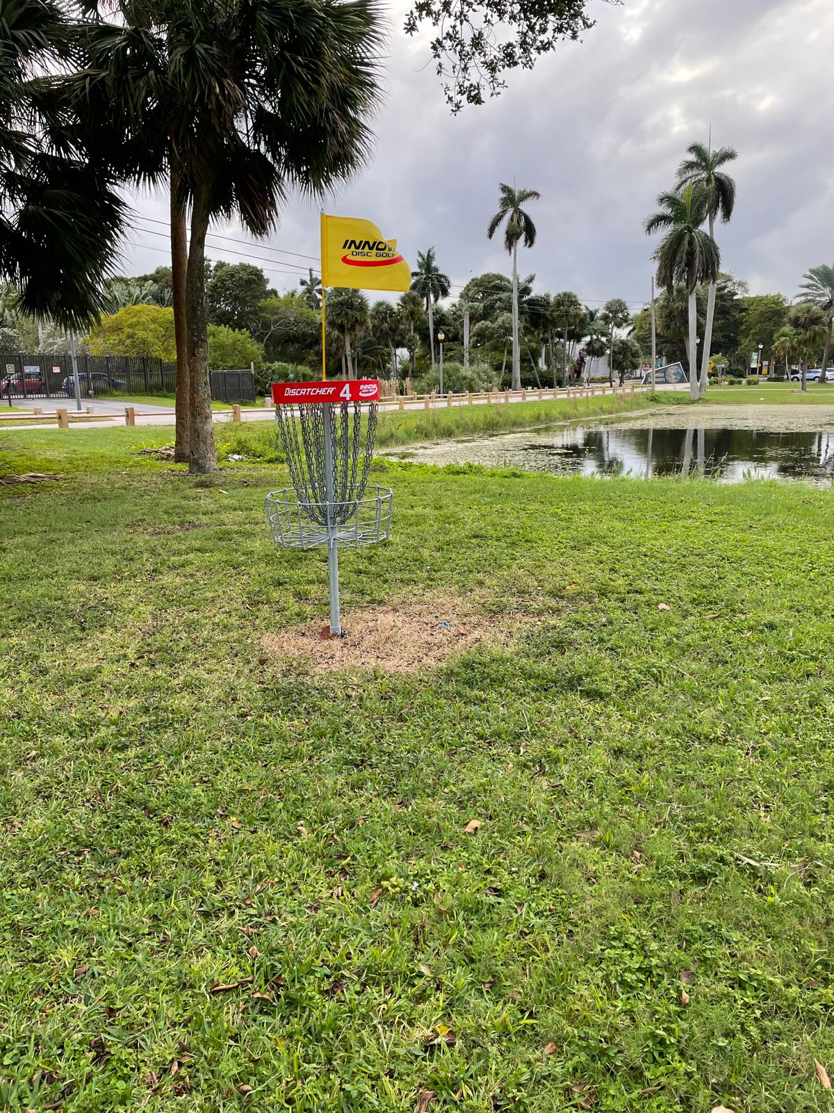 Hole 4 Basket