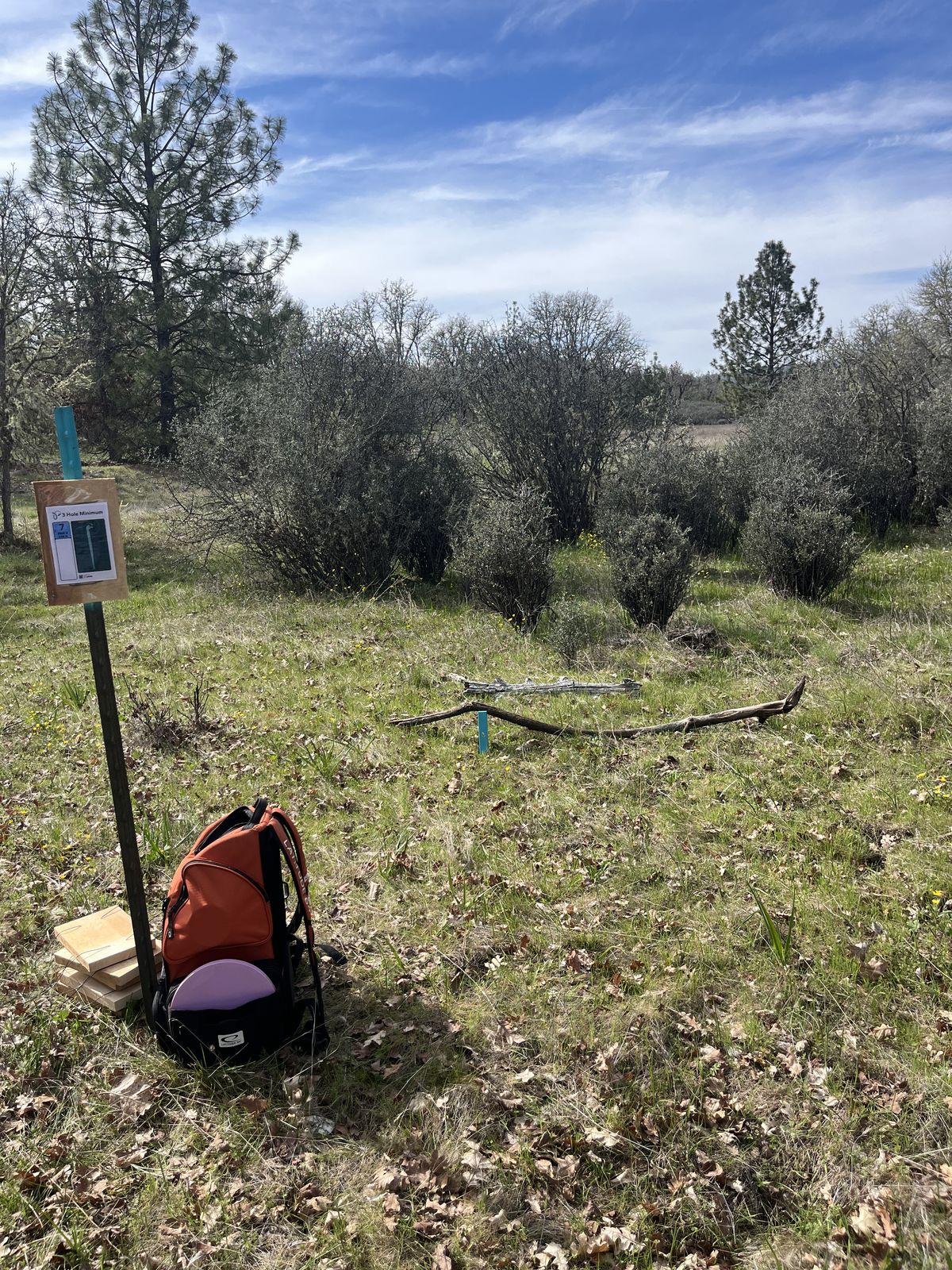 Tee Box 7 for "Buck 9"