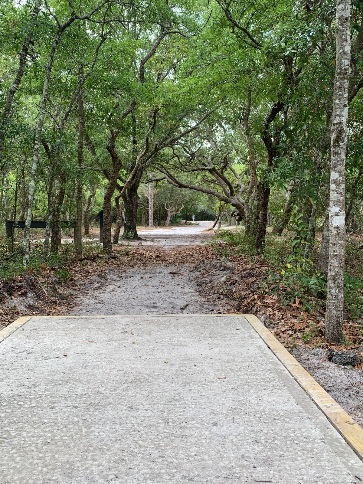Hole 18 alt tee