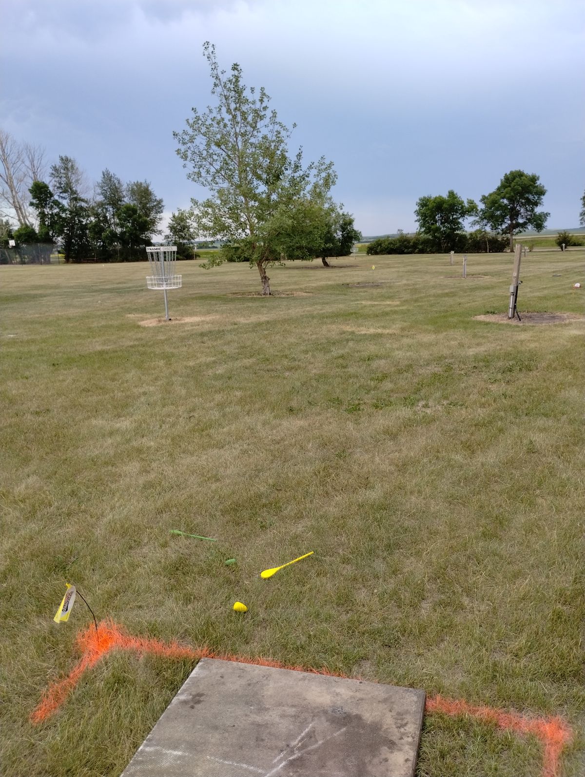 Hole 5 double mandatory in between the tree and the first watering pole.