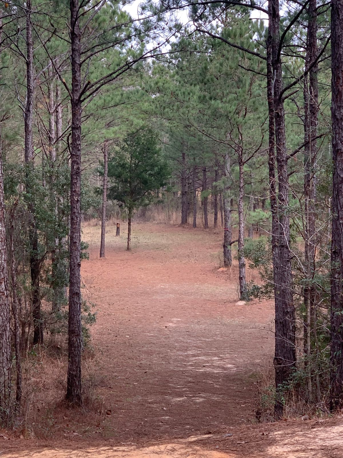 Hole 7 fairway