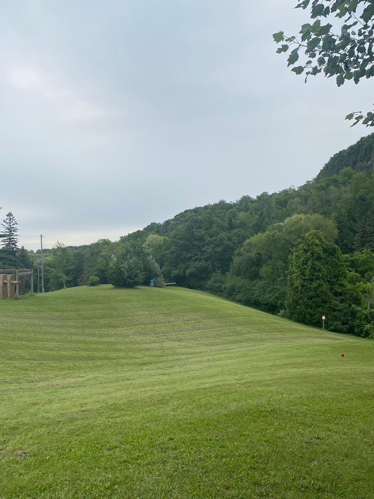 Teeing off from a treed deck, across rolling grassy hills.
