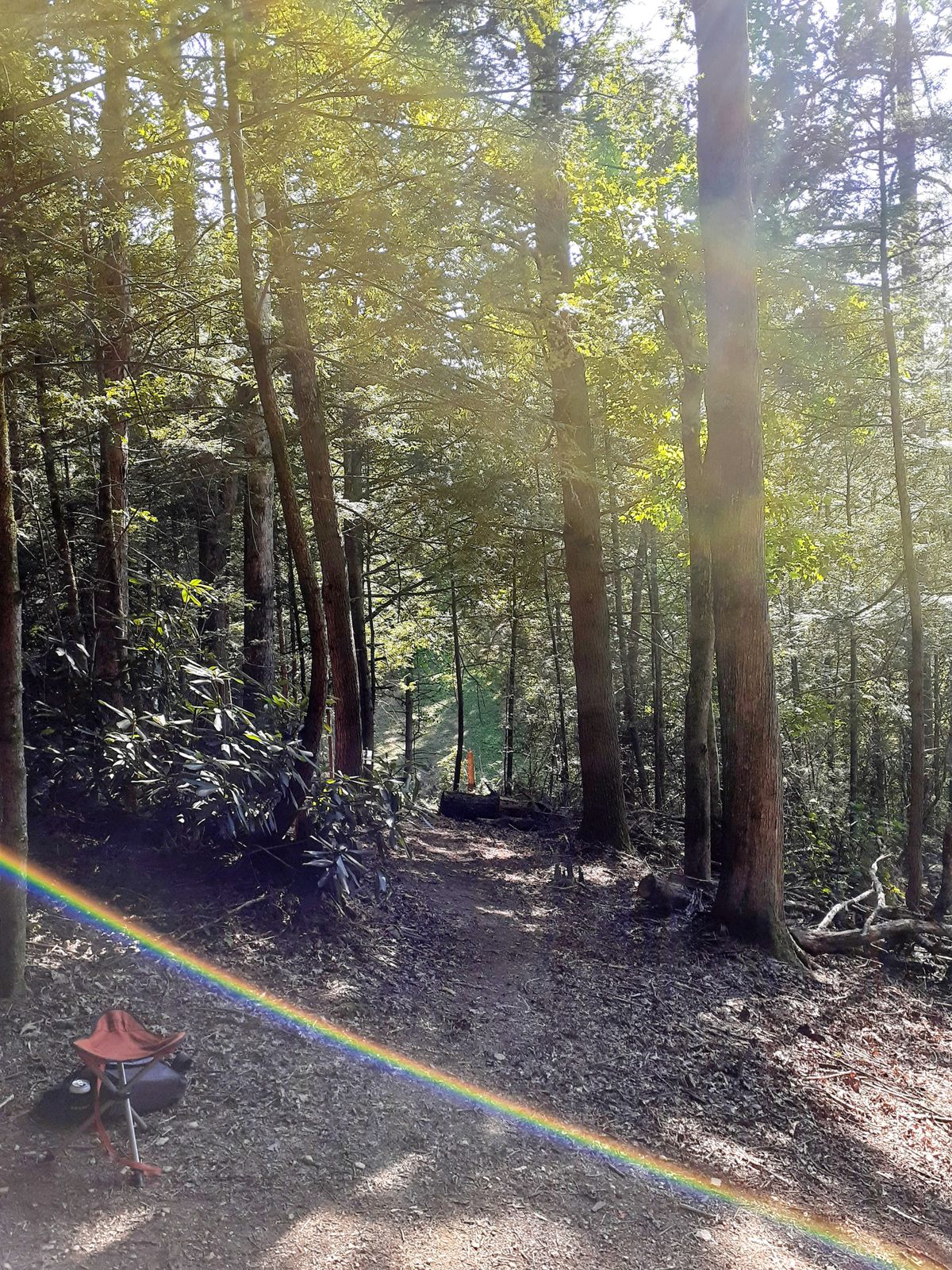 Hole 2 tee