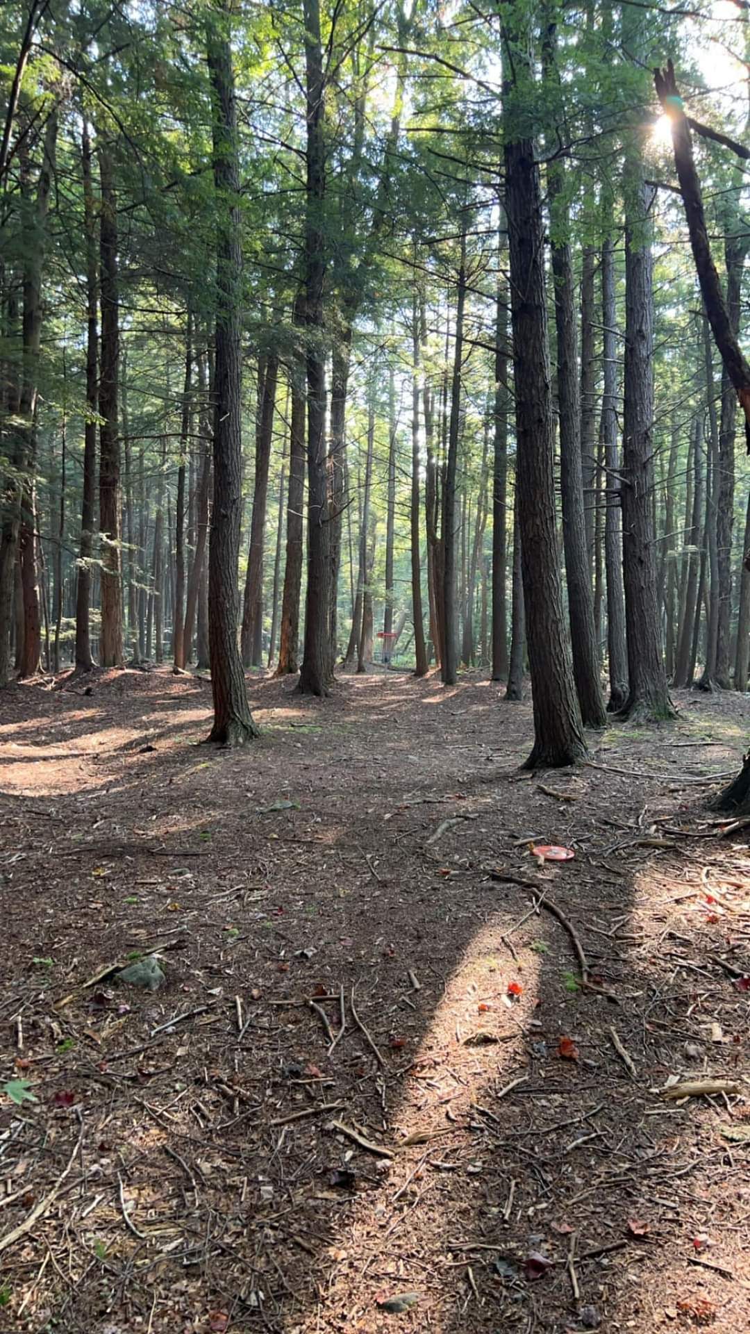 Long look from the left side of hole 13.