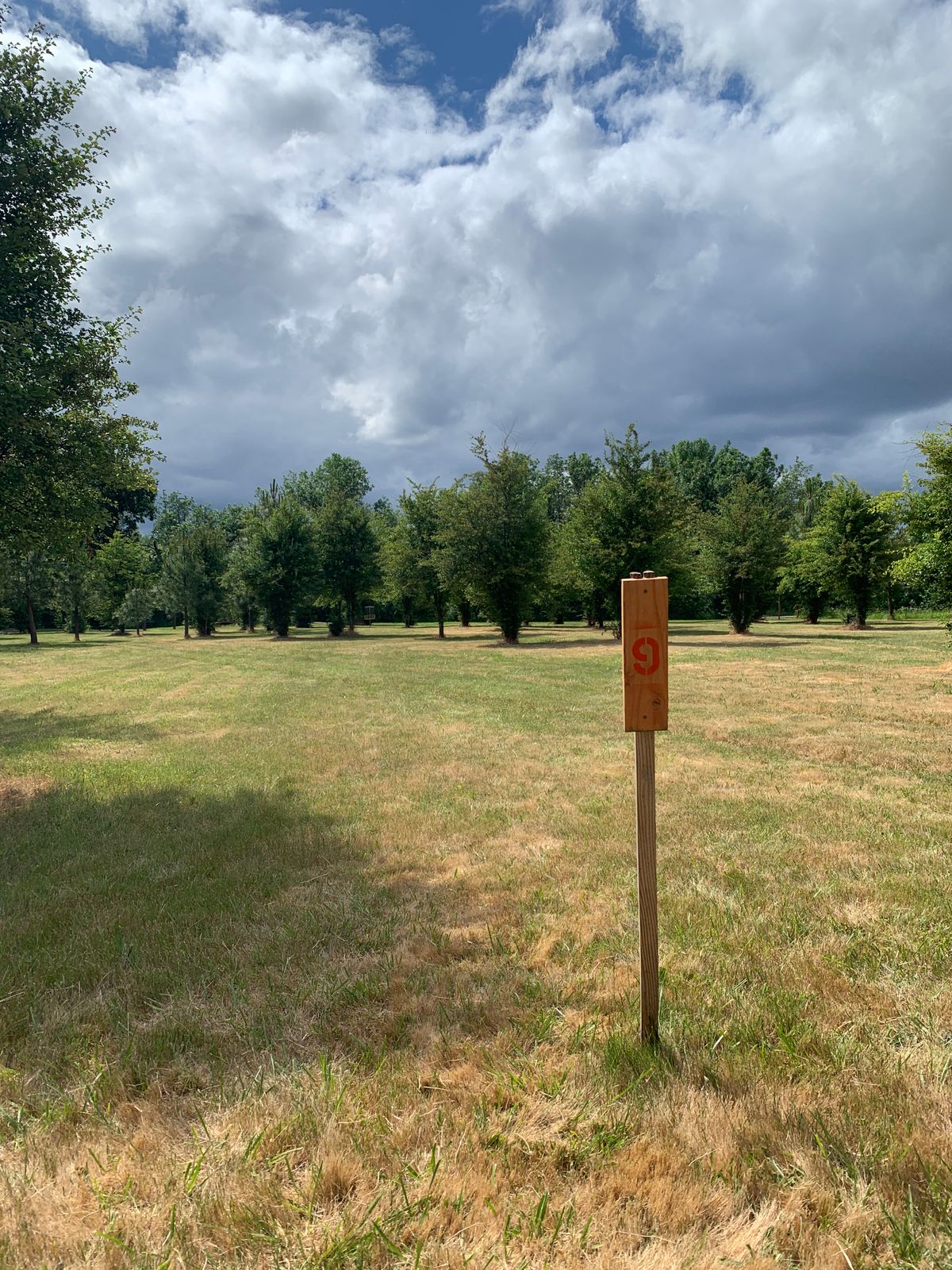 Hole 9 tee. Yet another chip hyzer over the short trees. Again, about 150-180 feet.