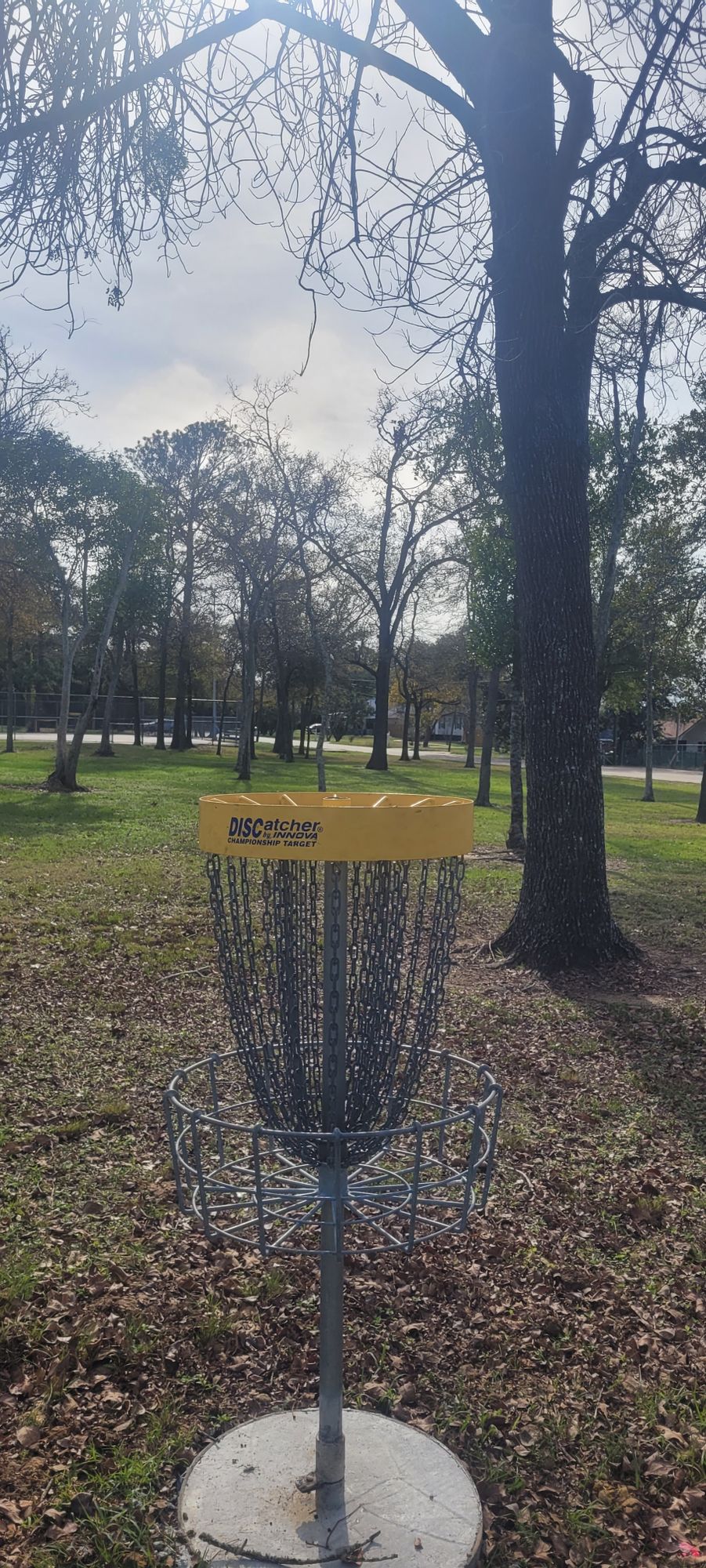 Hole 9's basket towards tee