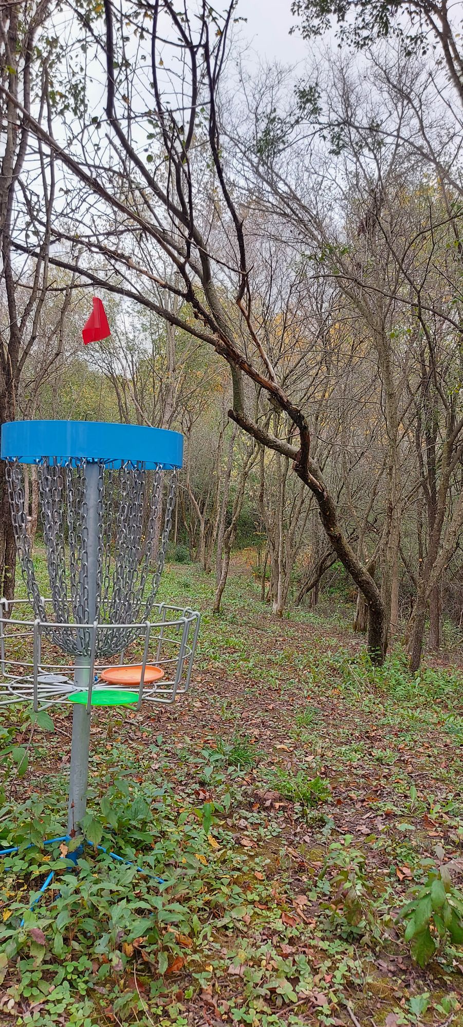 hole 13.🍁🍂🌳🍁🌳