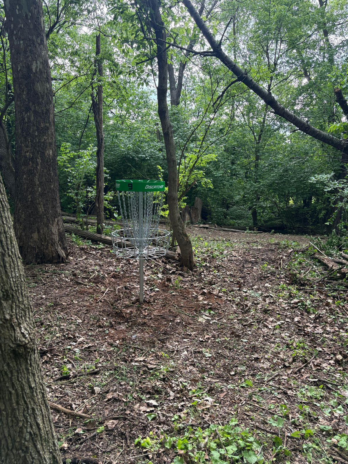 Hole 9