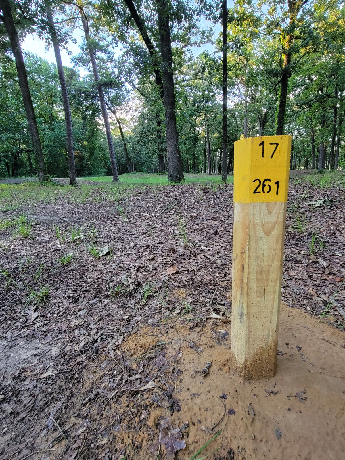17th tee