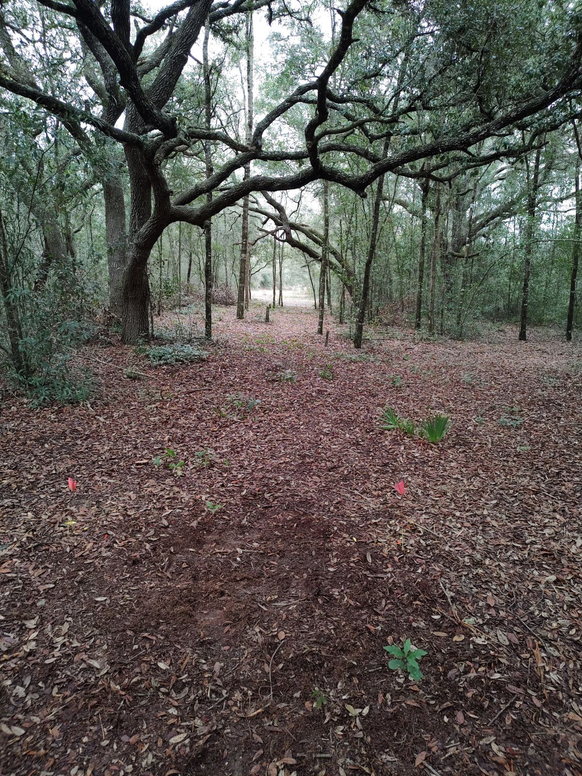 Hole 11