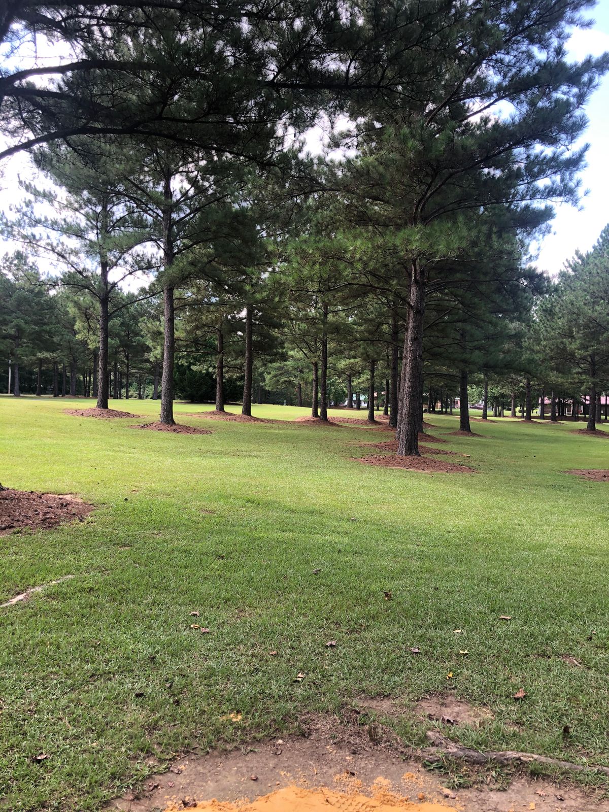 Hole 11