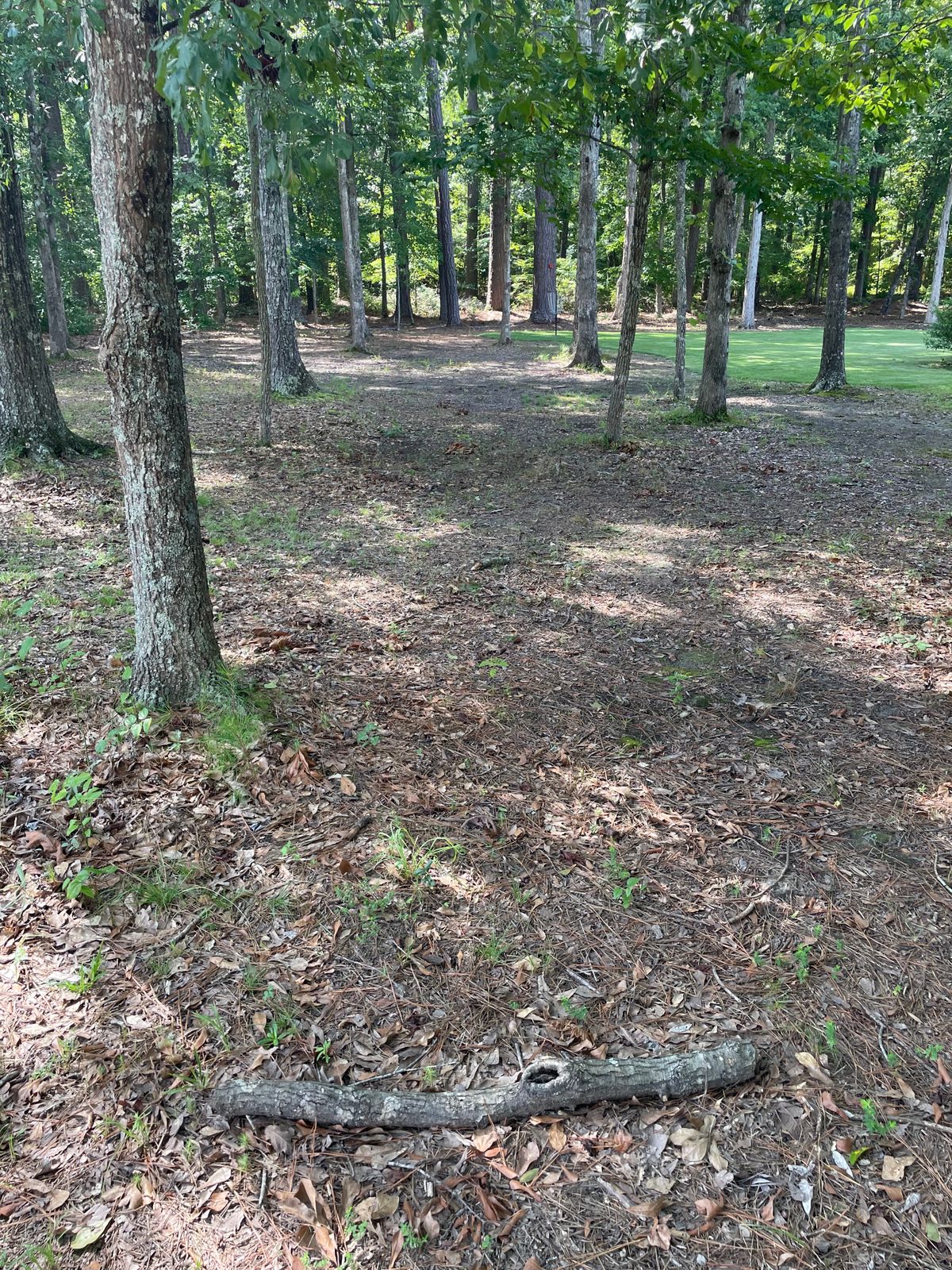 Hole 14