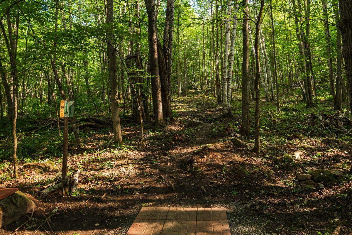 Hole 16 gold tee