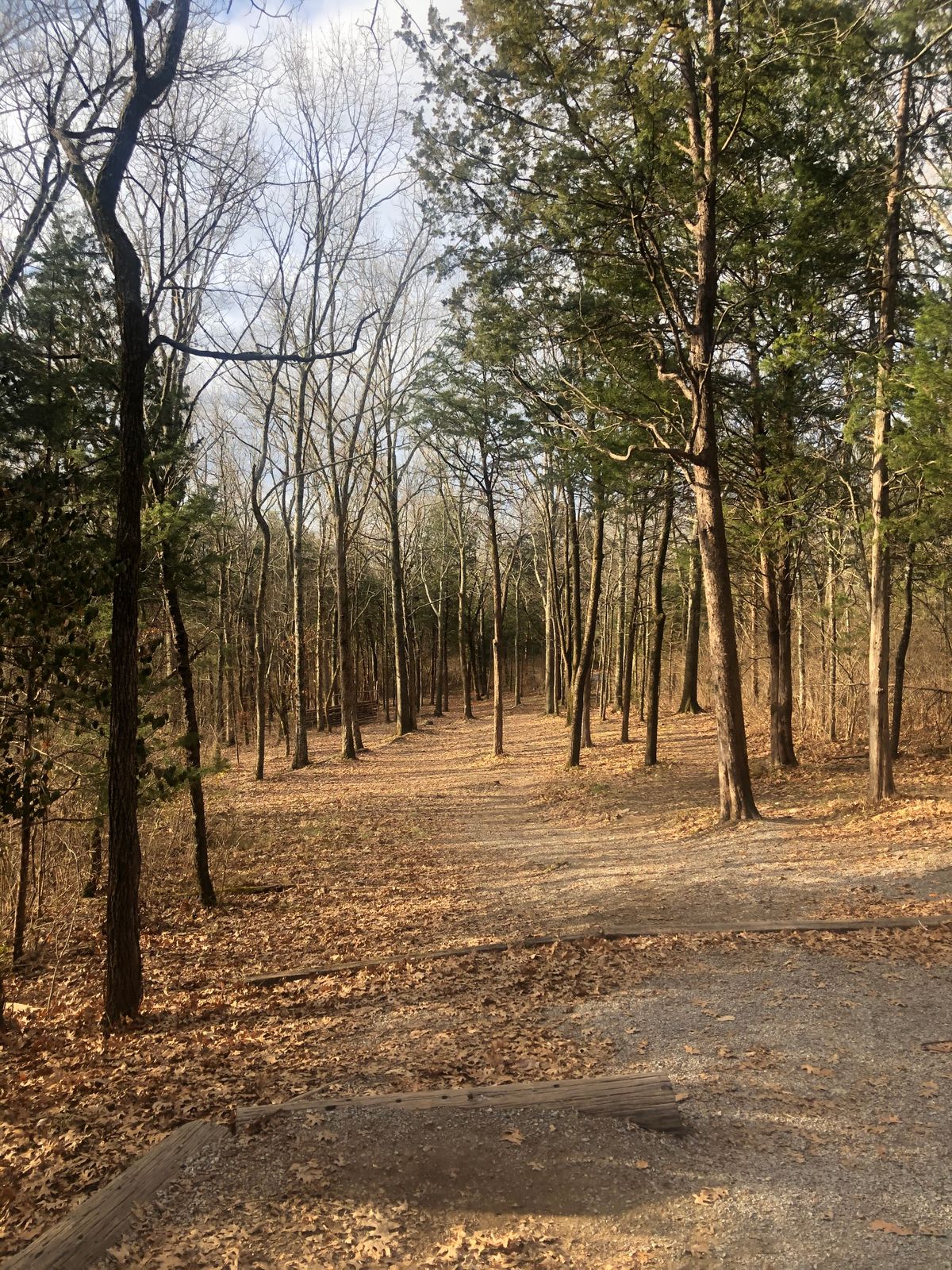 Hole 6