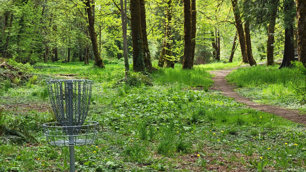 The basket of 13 looking back at the tee.