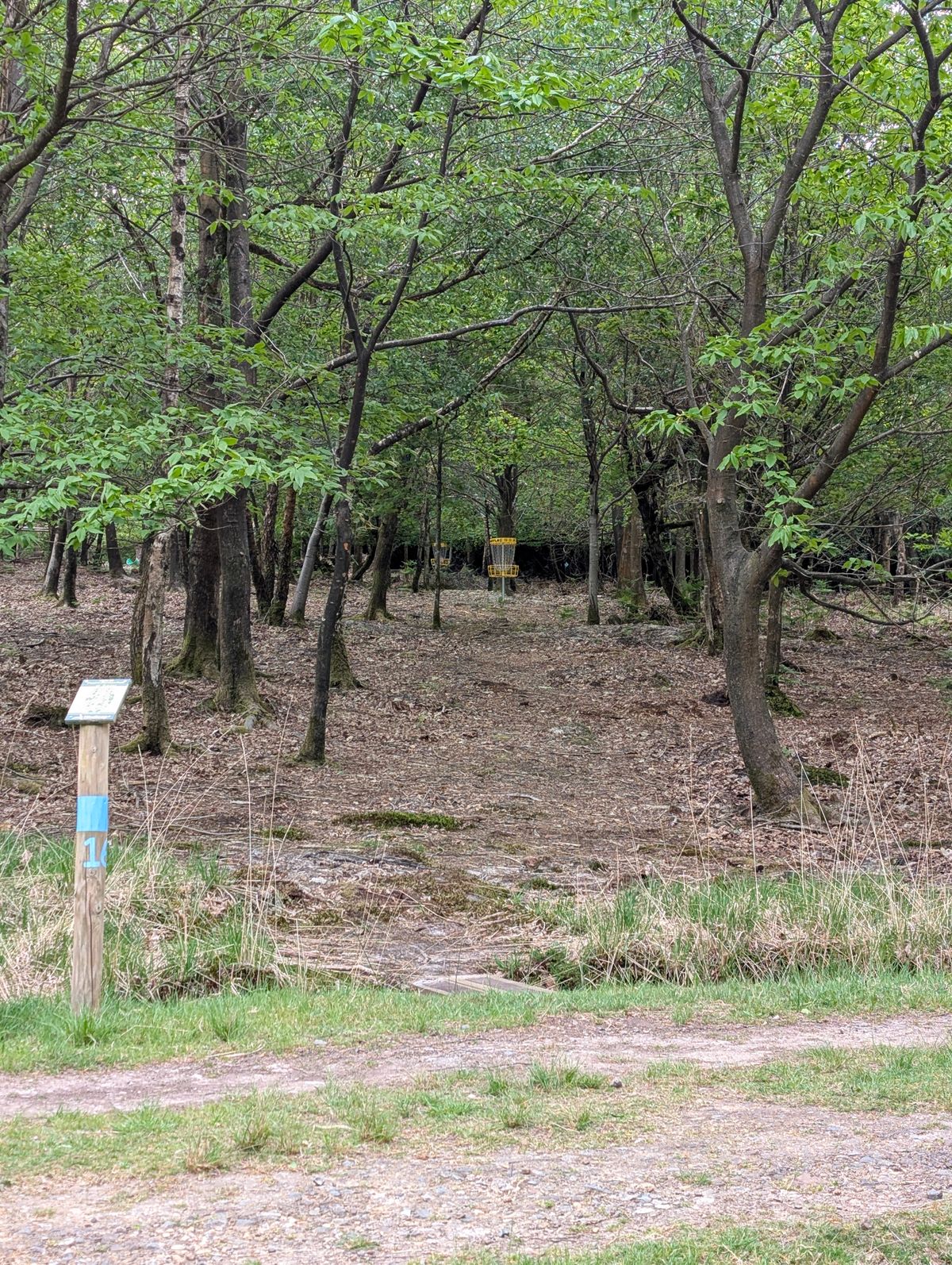 Hole 16 blue