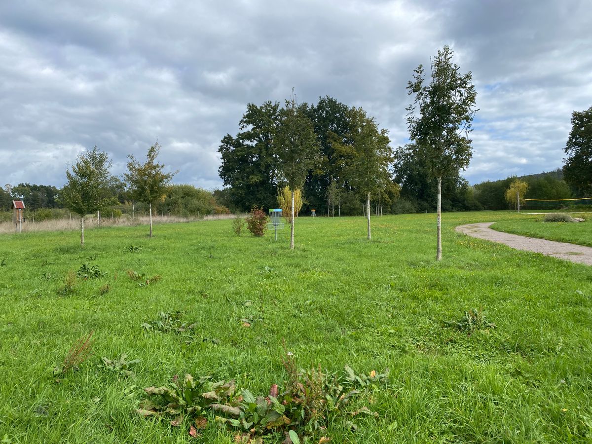 Will be very interesting when these trees grow :)