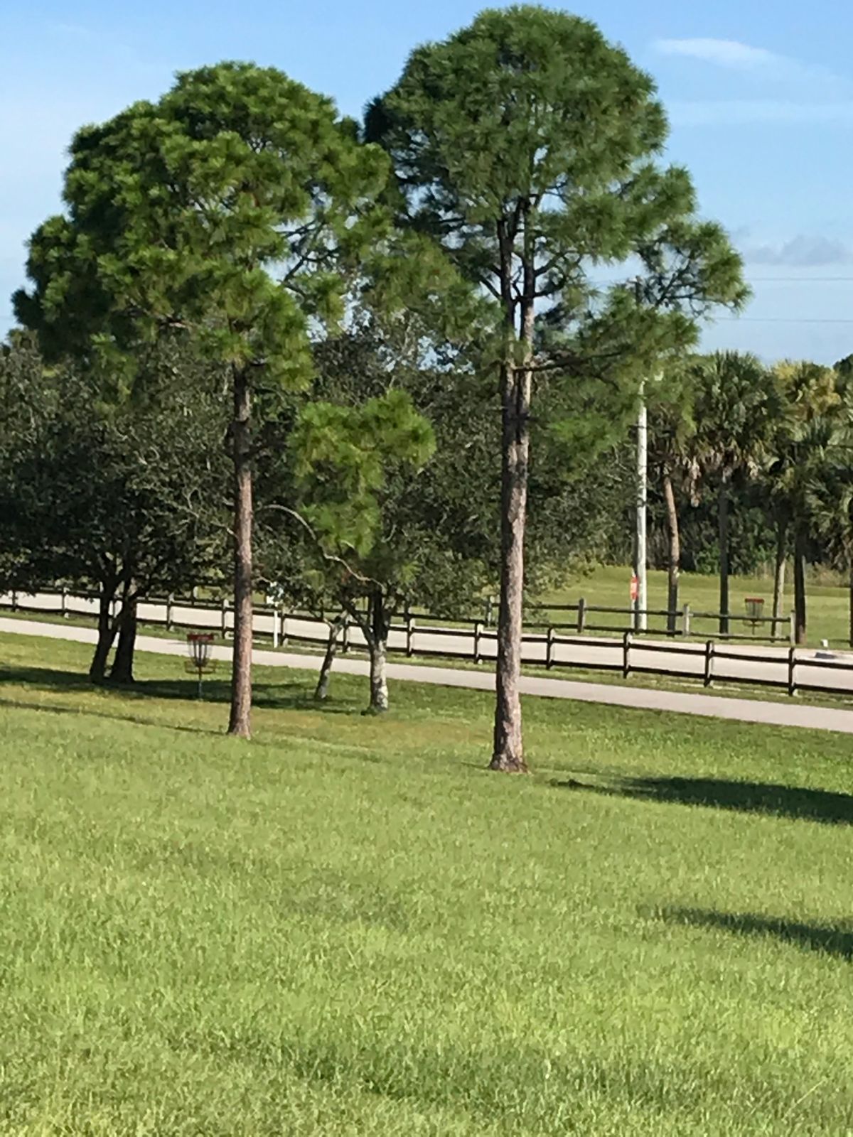 #10. Downhill