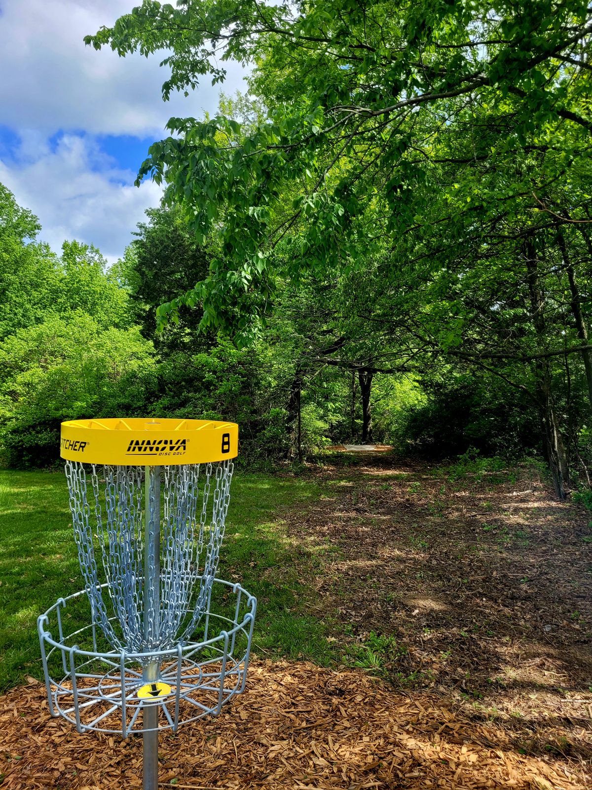 Hole 8
110 Feet
Basket to Tee