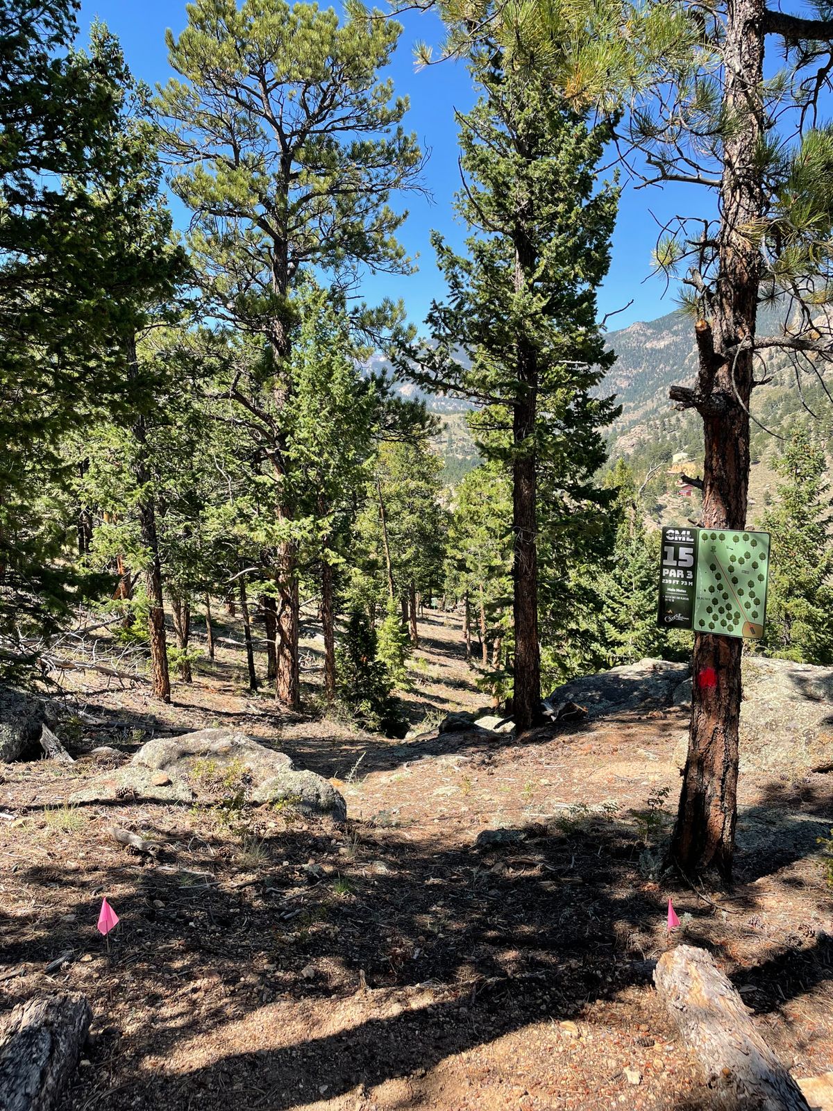 Hole 15 tee