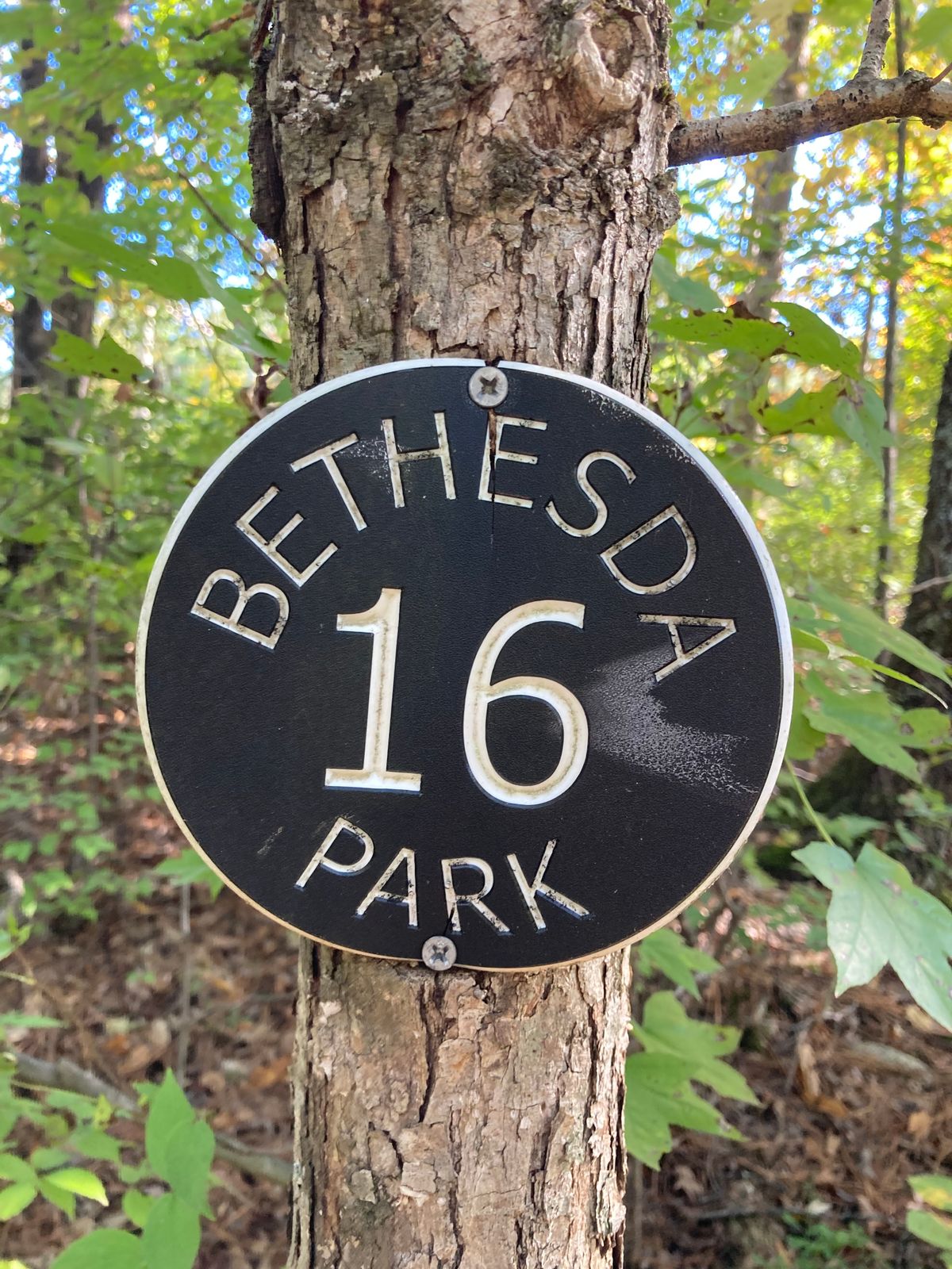 Hole 16