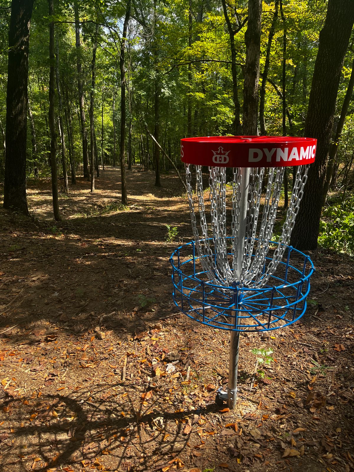 Hole 1 basket