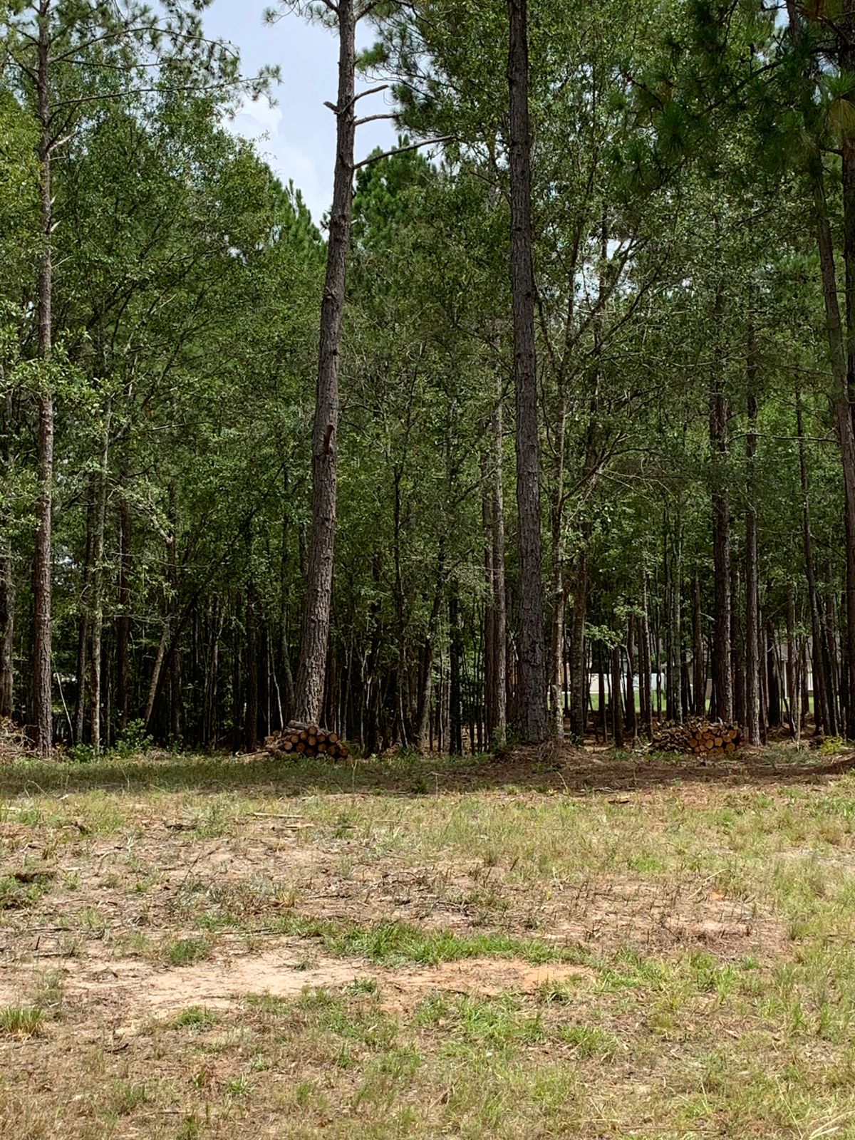 Tee pad used for hole 5
