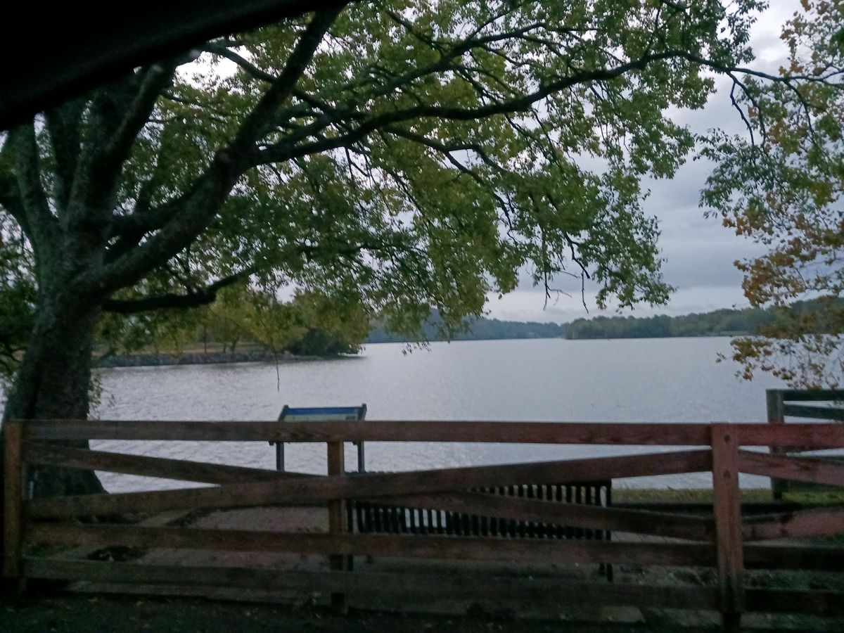 Part of the walking trail around the Admiral Frisbee Course and Carl Cowan Park. Beautiful all day long.