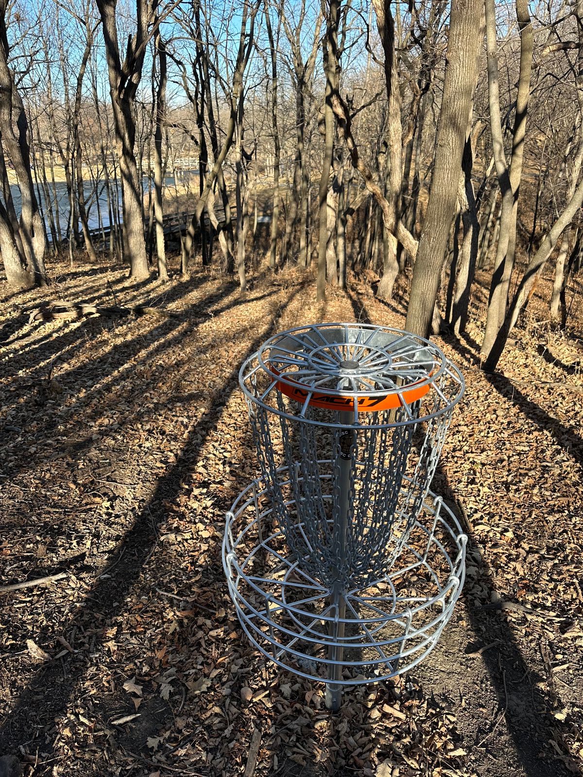 Hole 6 Basket Looking Back At Teepad.