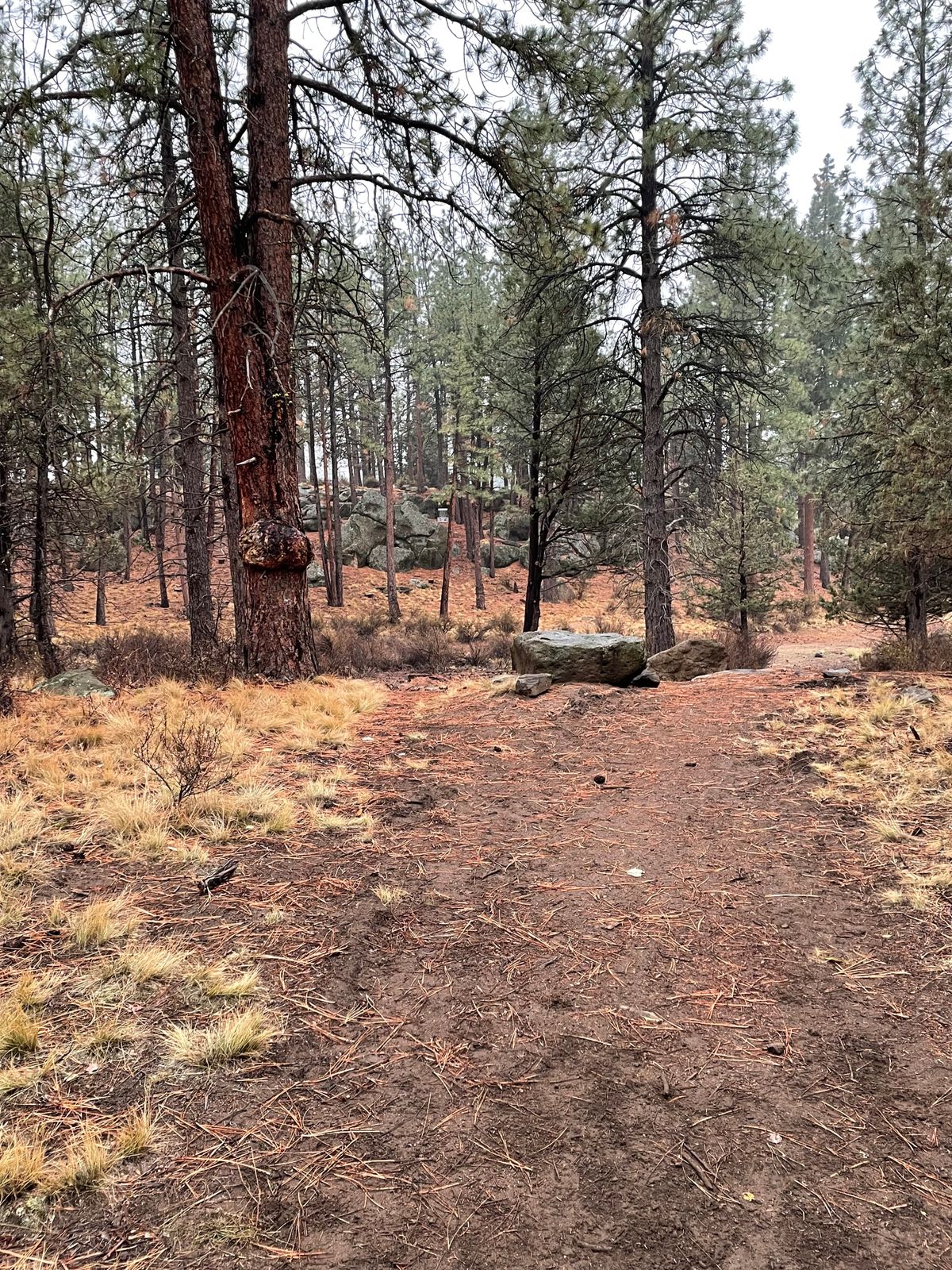 Hole 6 from teepad