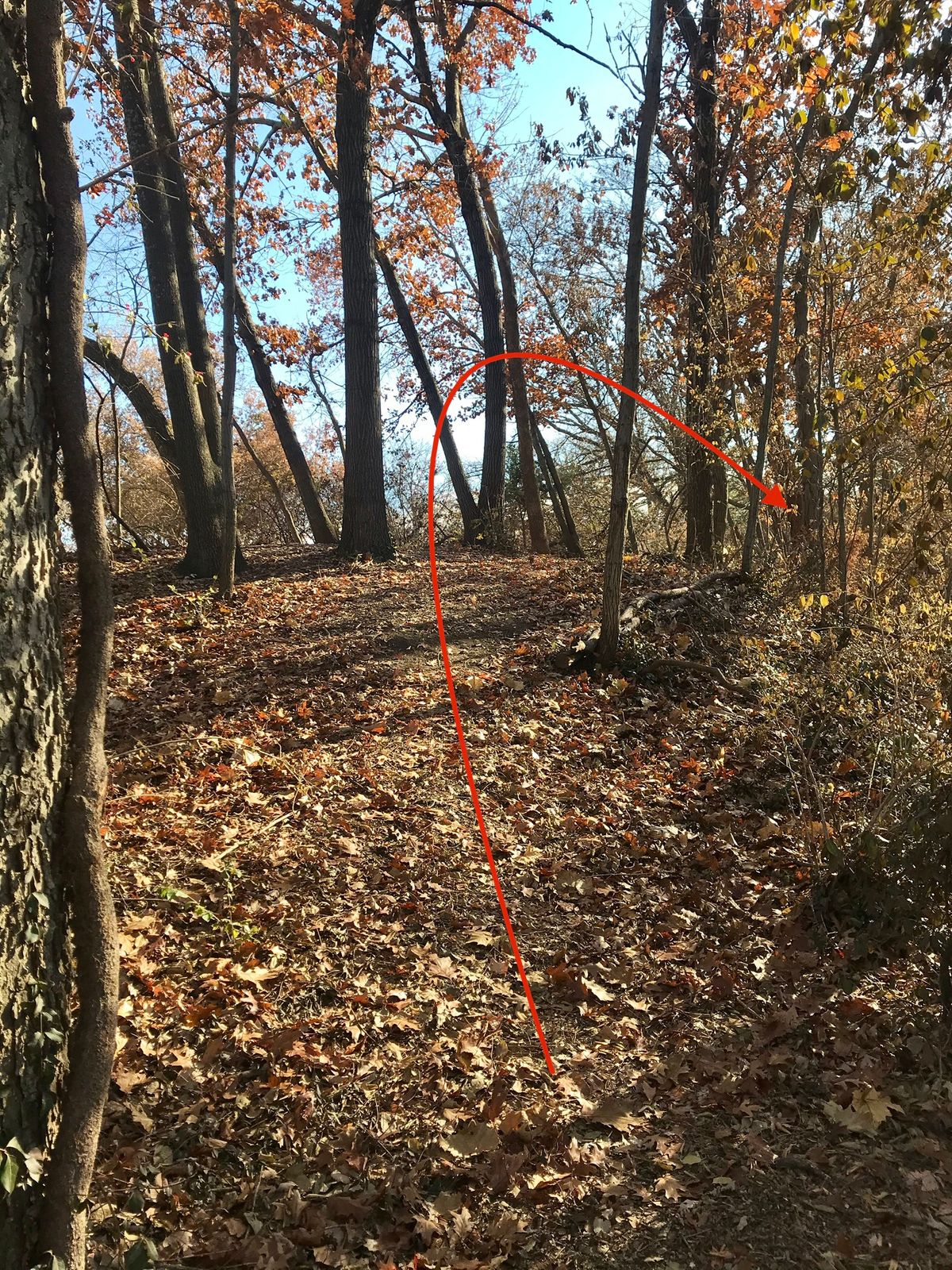Hole 4 Tee