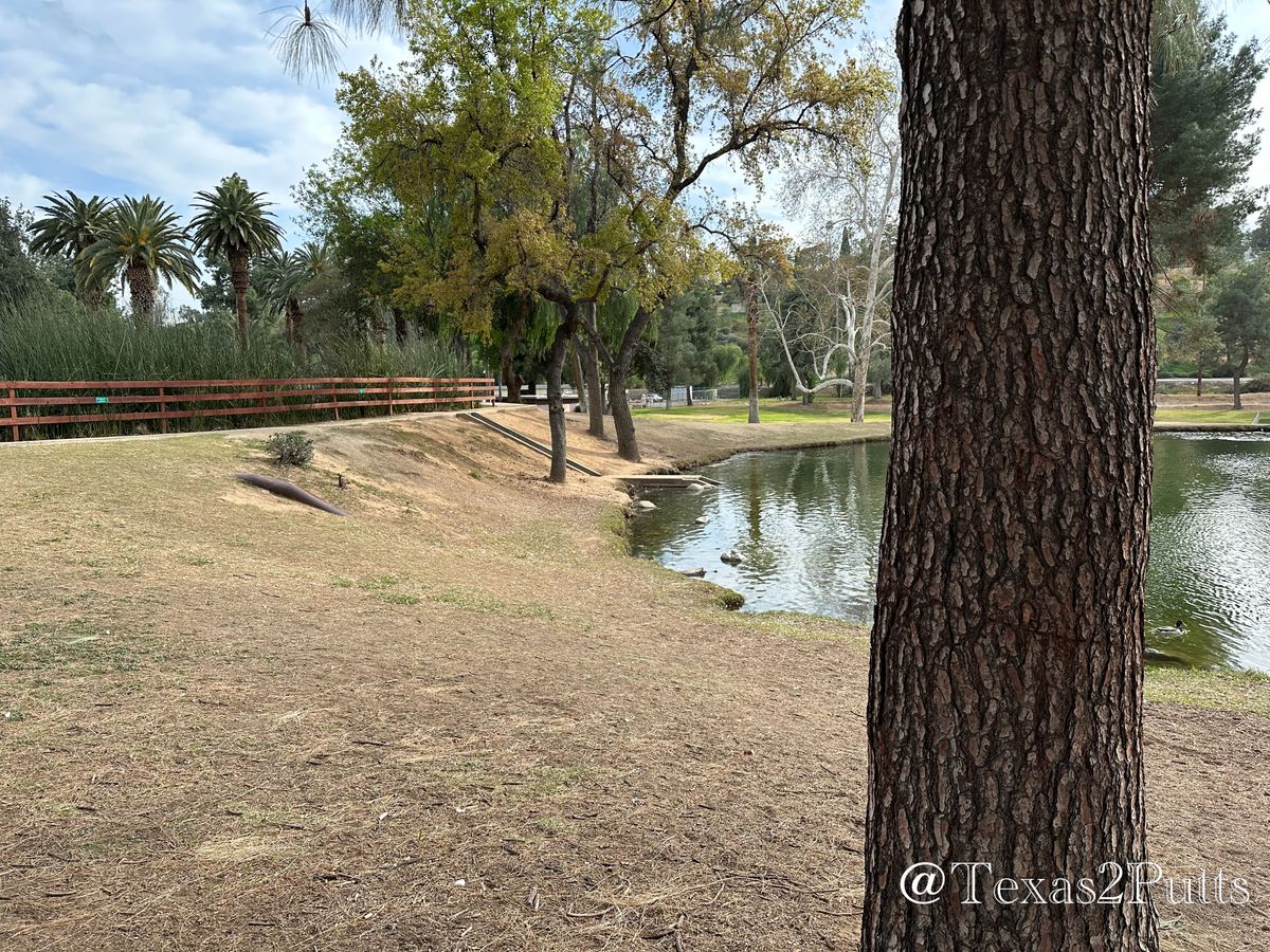 Hole 6