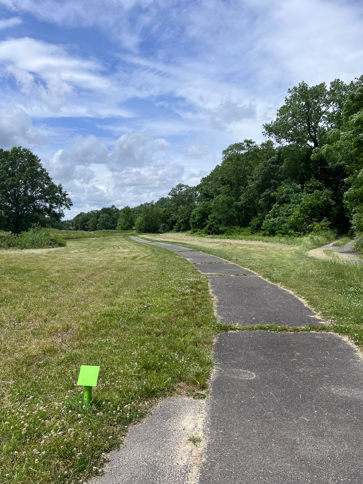 Hole 10 tee; wood line to the right is OB