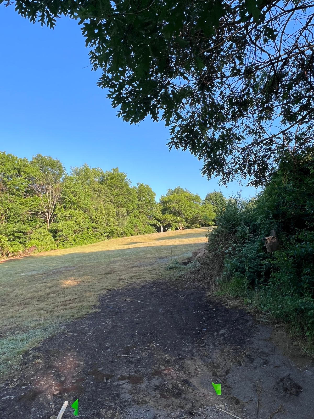 Tee 10