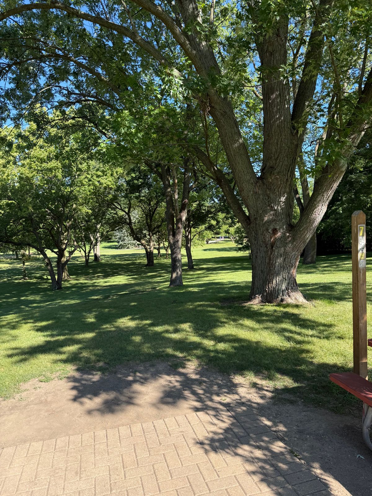 Tee 7