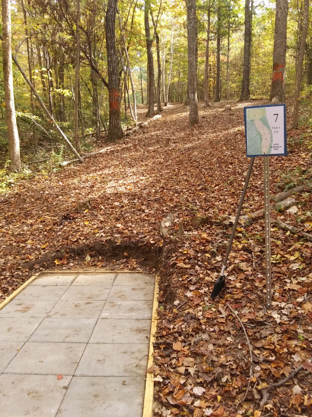 Hole 7 tee with mandos.
