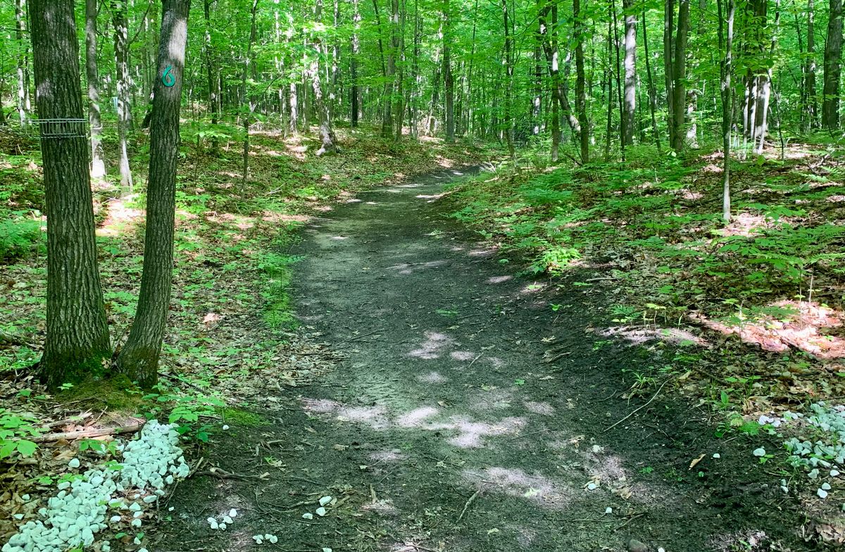 Hole 6