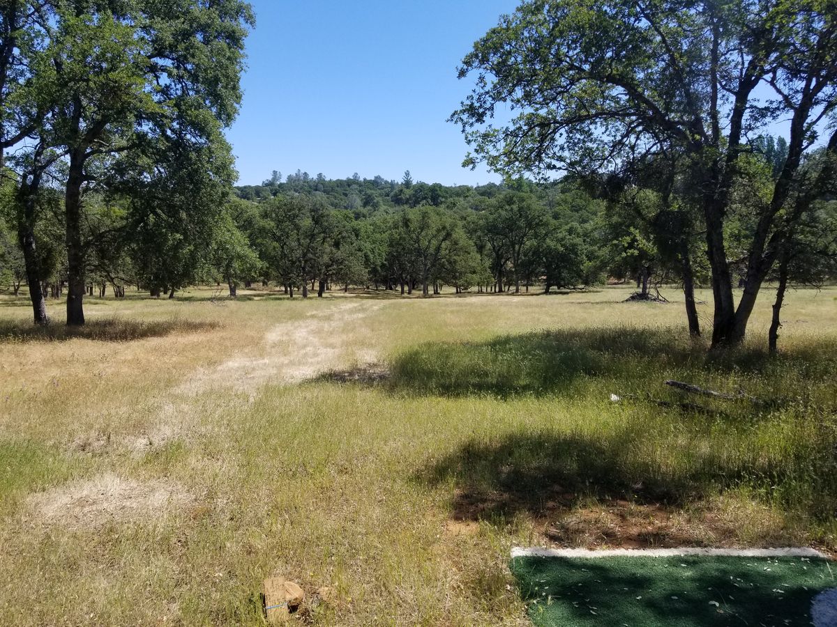 Hole 12