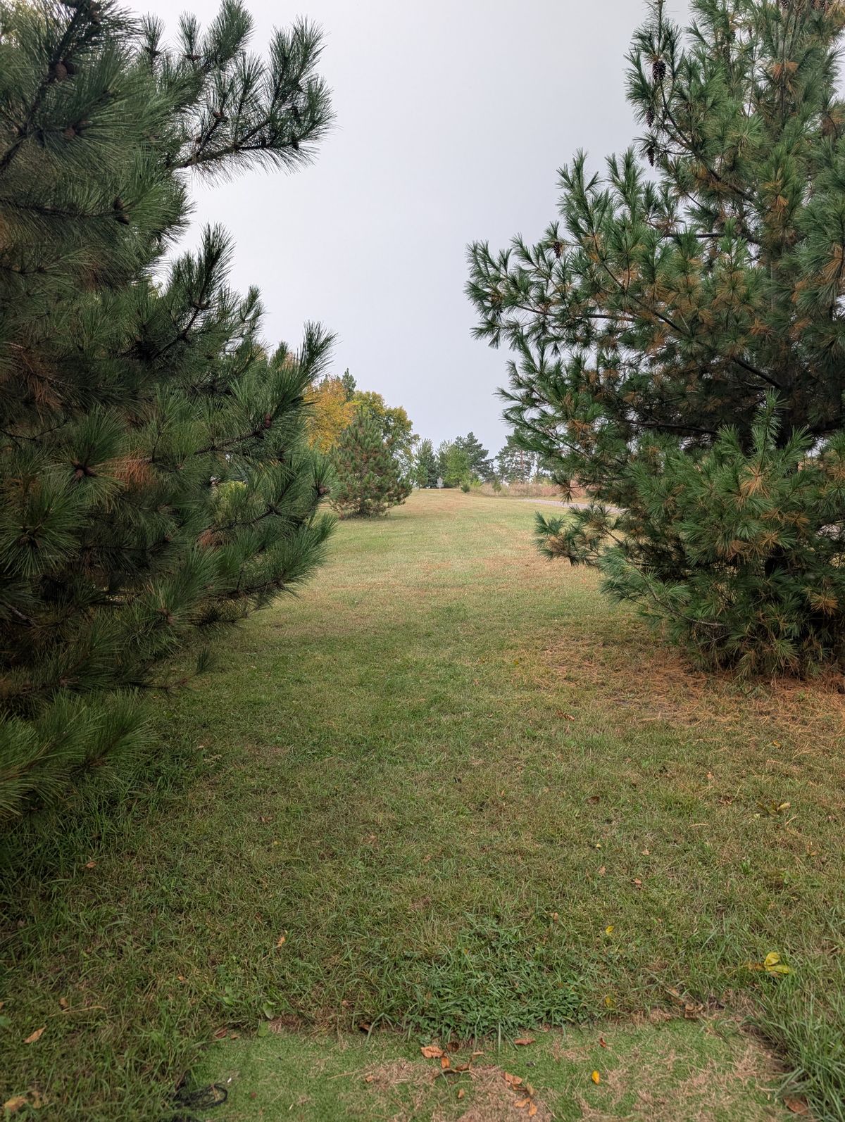 Hole 2