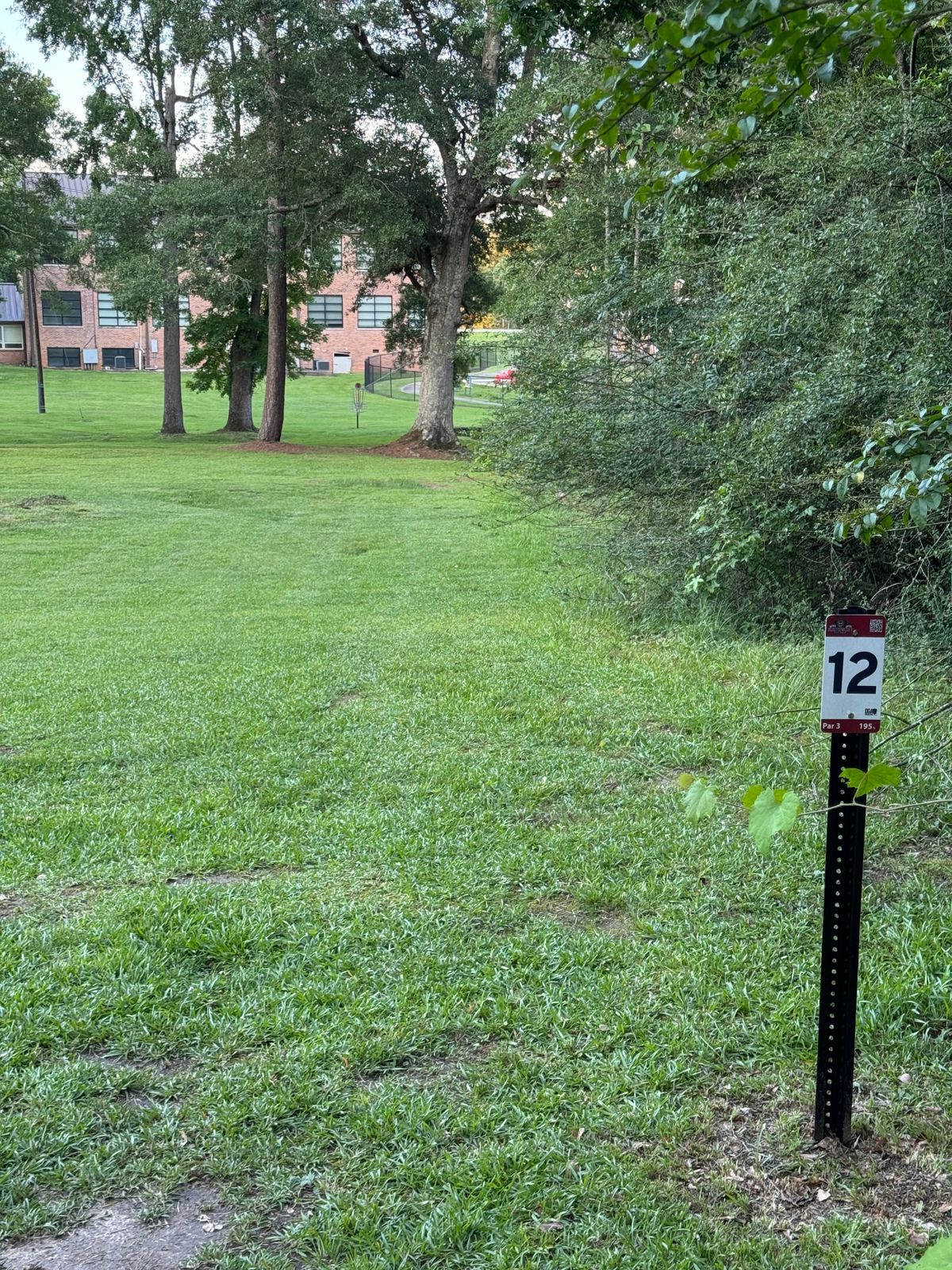 Hole 12 – Par 3 - elevated basket