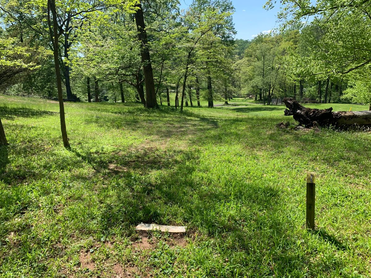 Hole 1 tee. Par 3. Basket is down hill slightly to the left, by all of the big trees