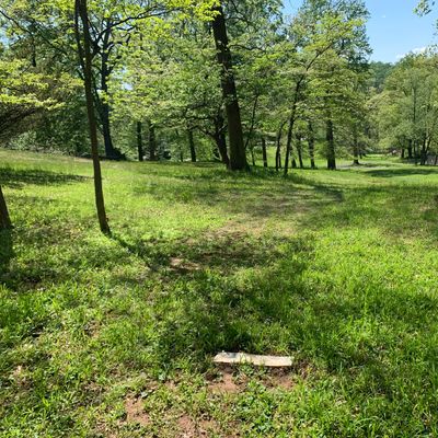 Hole 1 tee. Par 3. Basket is down hill slightly to the left, by all of the big trees